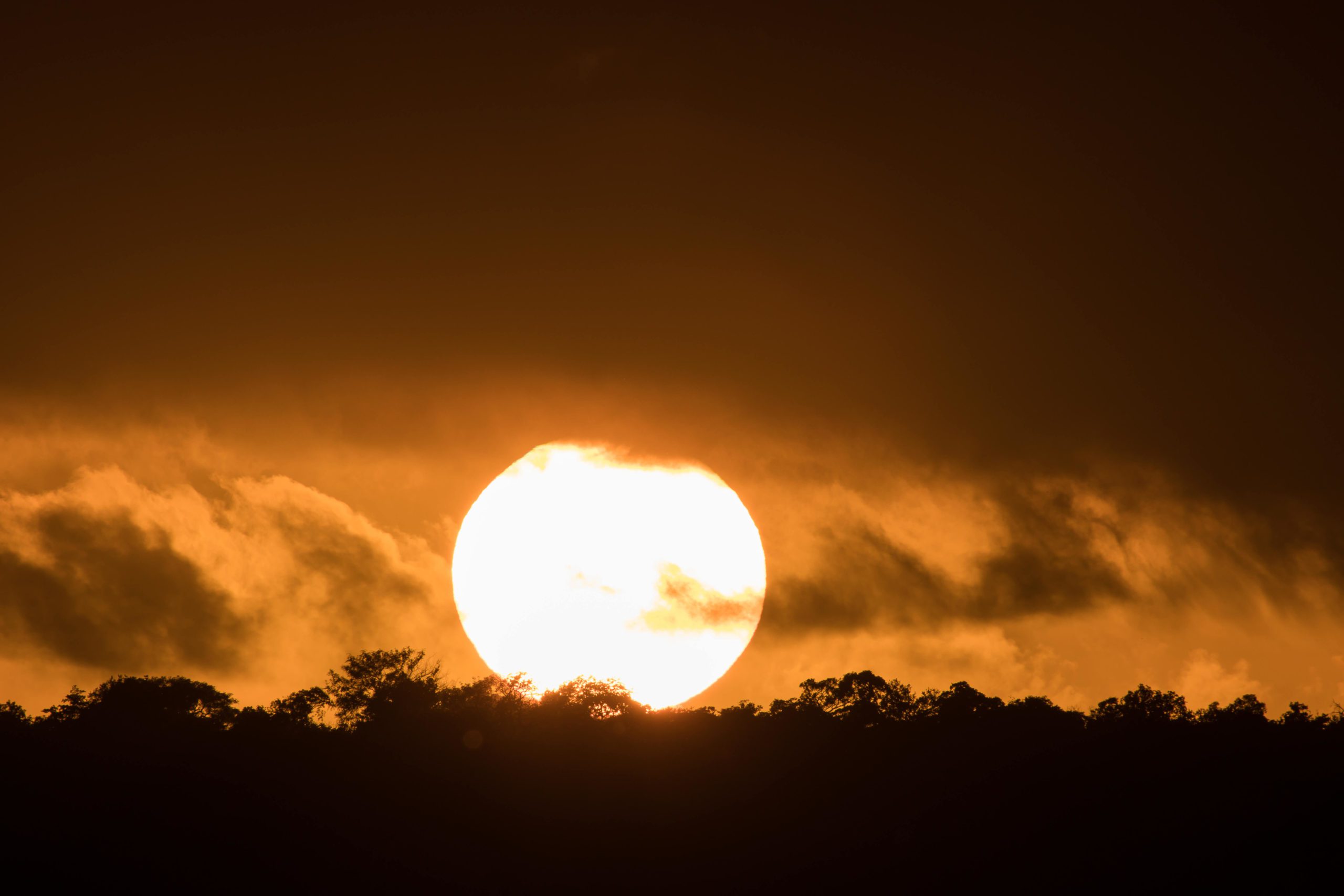 Guernsey Private Nature Reserve, Guernsey PNR, Hoedspruit, Limpopo, Kruger National Park, sunset