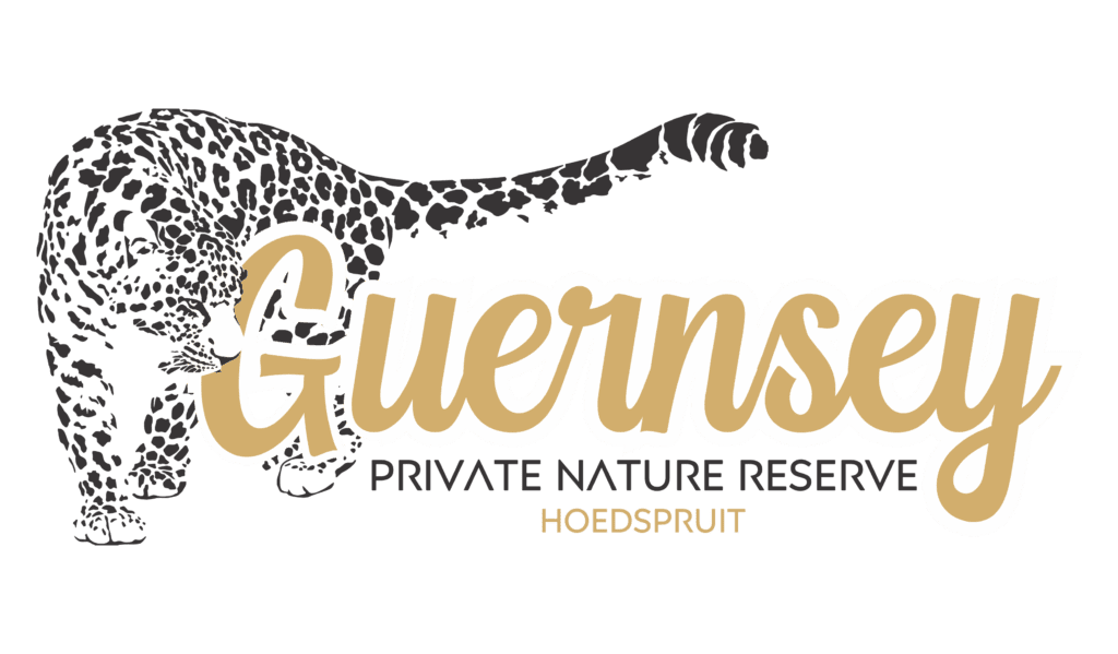 Guernsey Private Nature Reserve, Guernsey PNR, Hoedspruit, Limpopo, Kruger National Park, Thornhill Safari Lodge,
